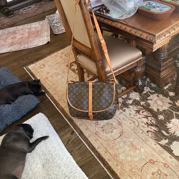 🌟🌟HOST PICK🌟🌟Absolutely Stunning Louis Vuitton Saddle Bag Purse - Picture 3 of 17